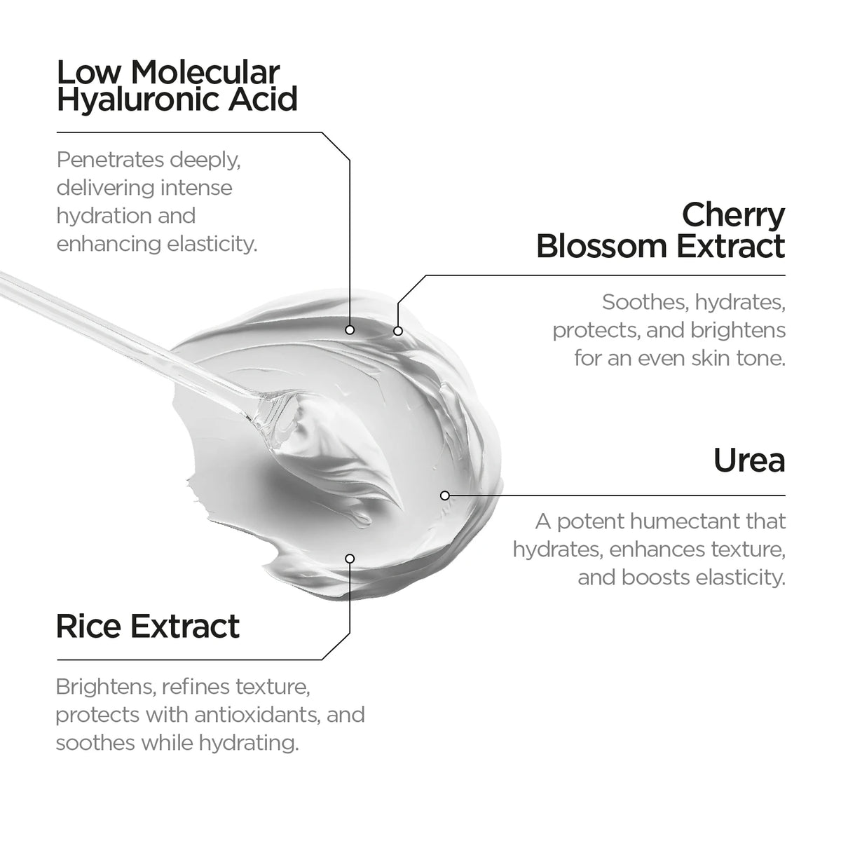 Japanese_Routine_Face_Cream_Li Japanese_Routine_Face_Cream_Li